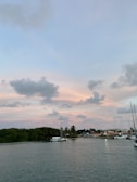 A peaceful harbor scene at sunset with sailboats gently bobbing on calm water.