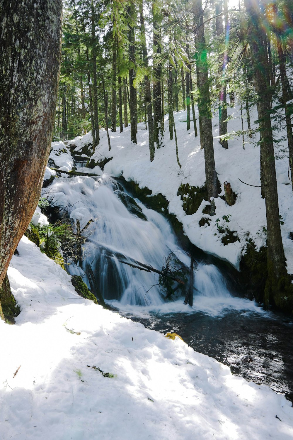 a stream running through a snow covered forest