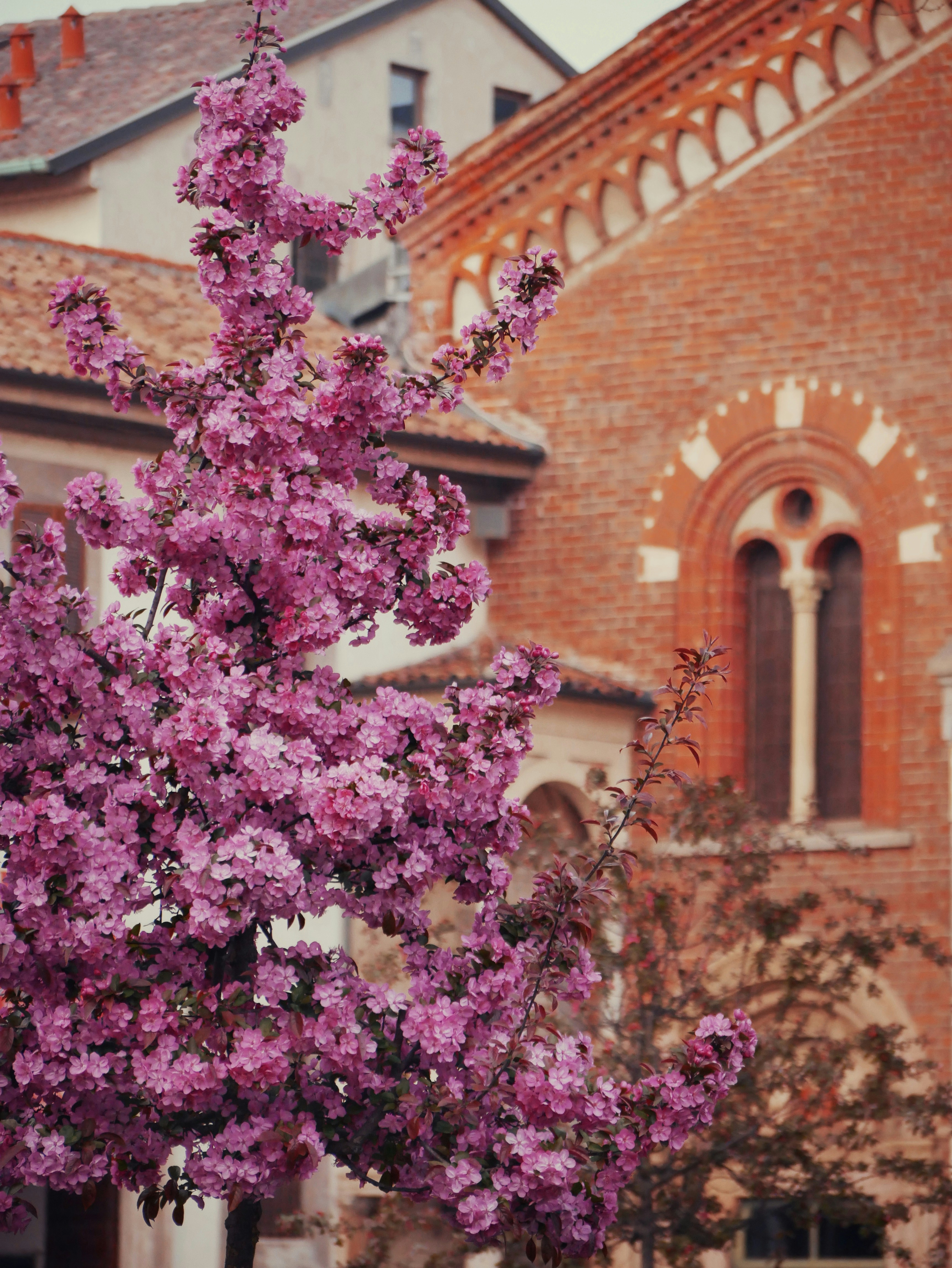 Photo by ruggeroguttilla