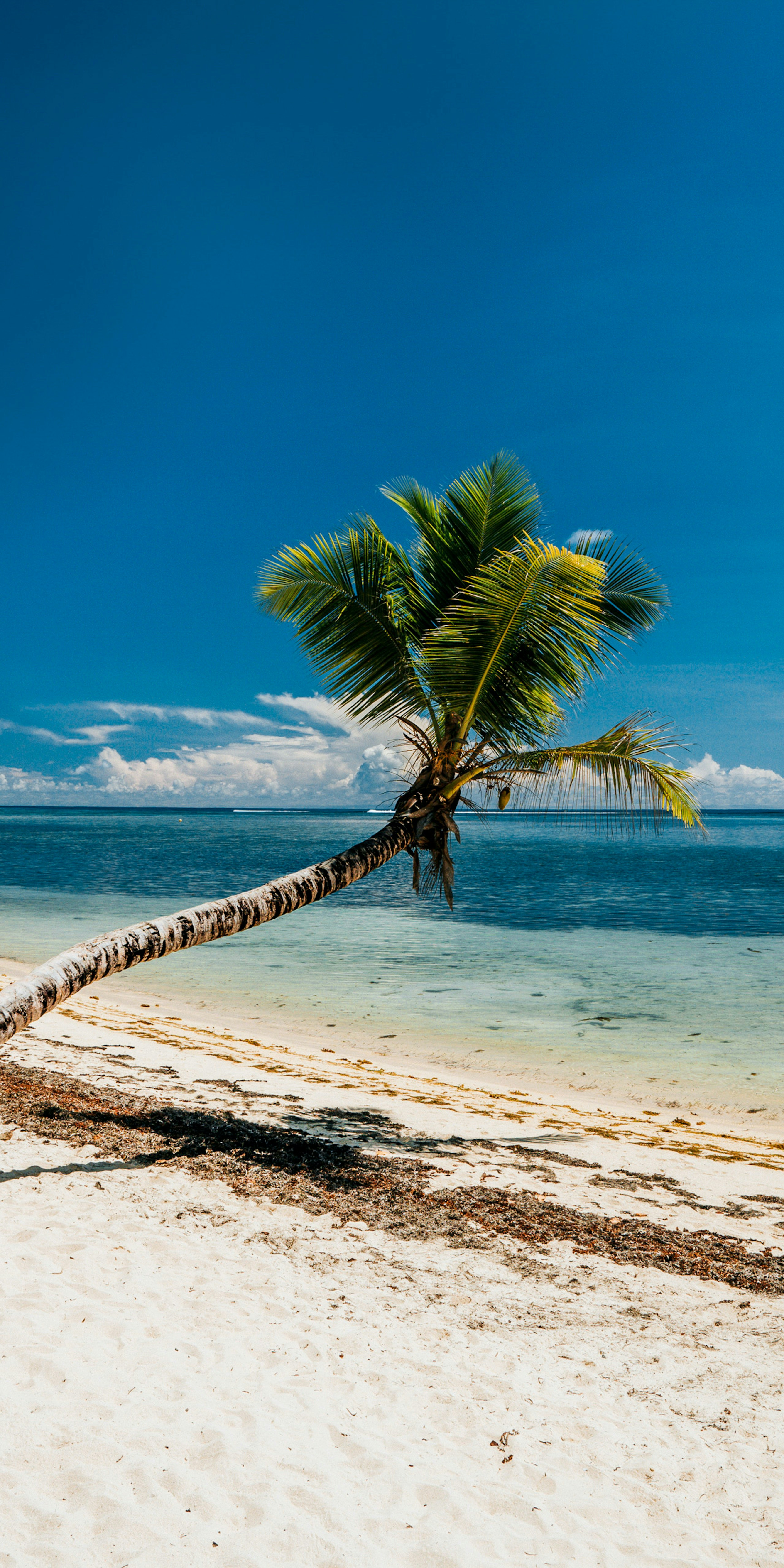 Photo by priyanshu74