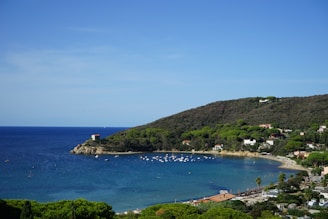 a blue body of water surrounded by a lush green hillside