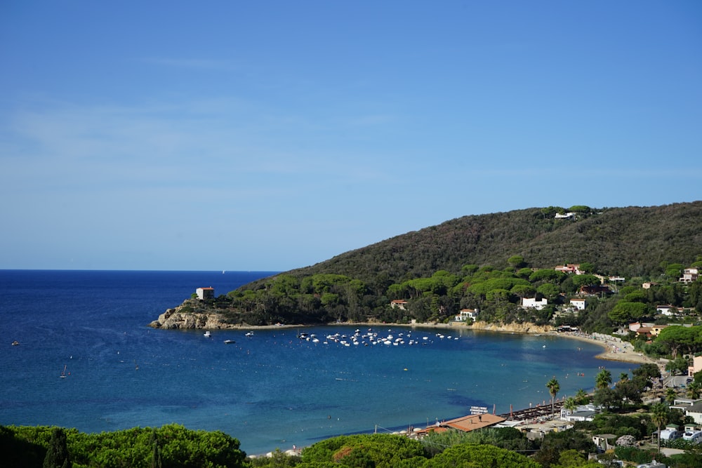 a blue body of water surrounded by a lush green hillside