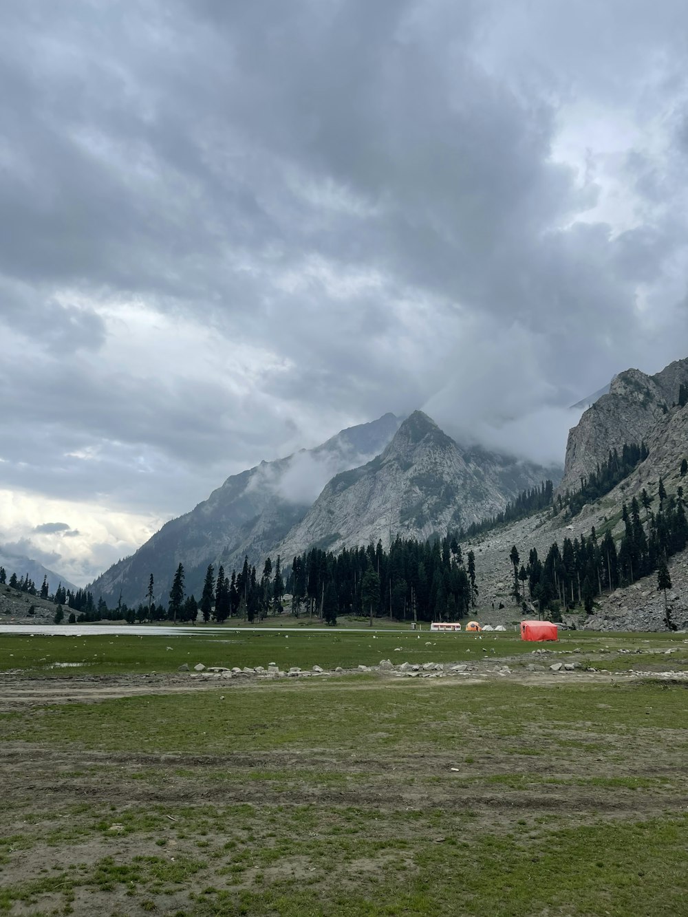 a grassy field with mountains in the background