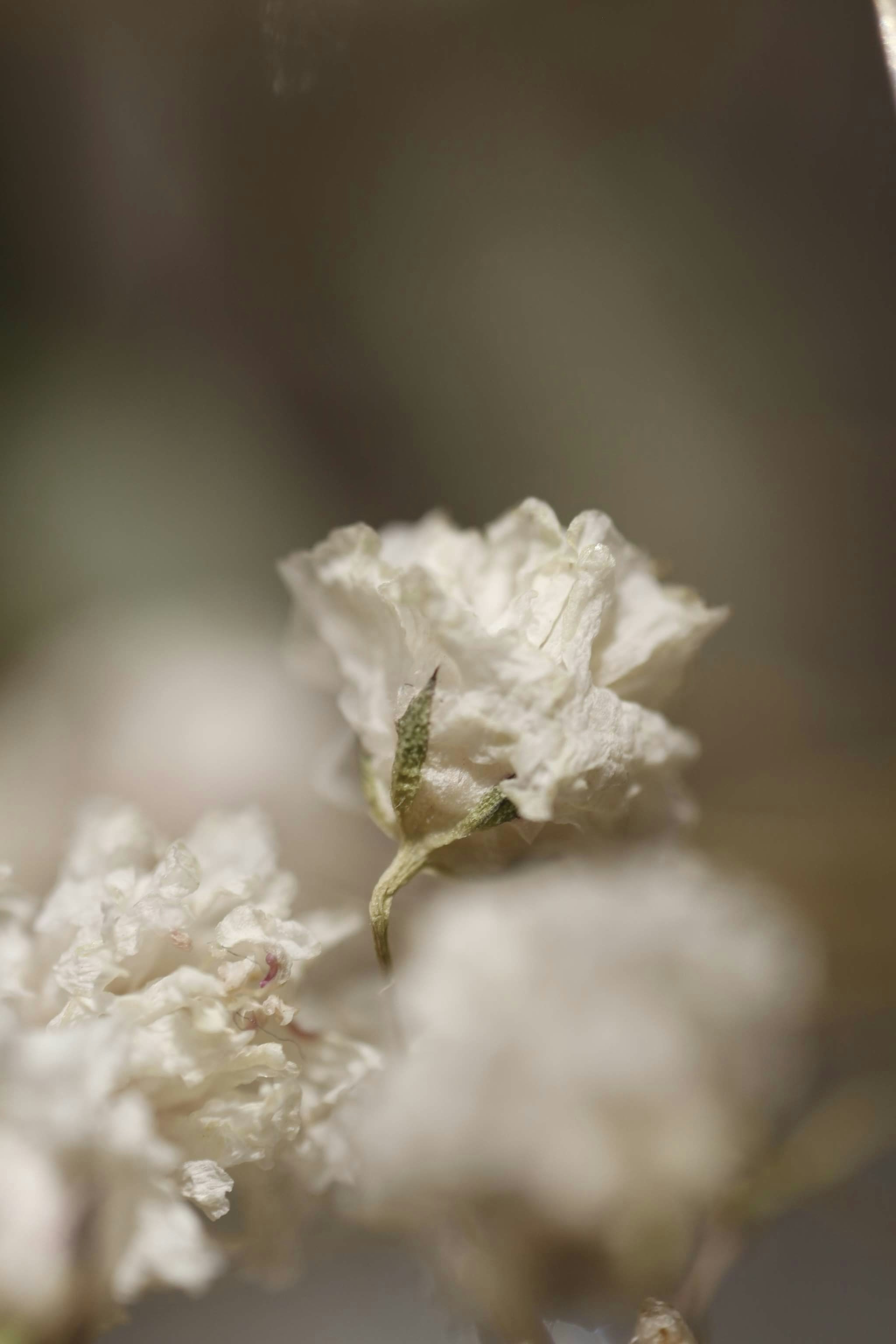 Photo by anndosoudilova