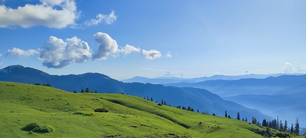 a lush green hillside with mountains in the background