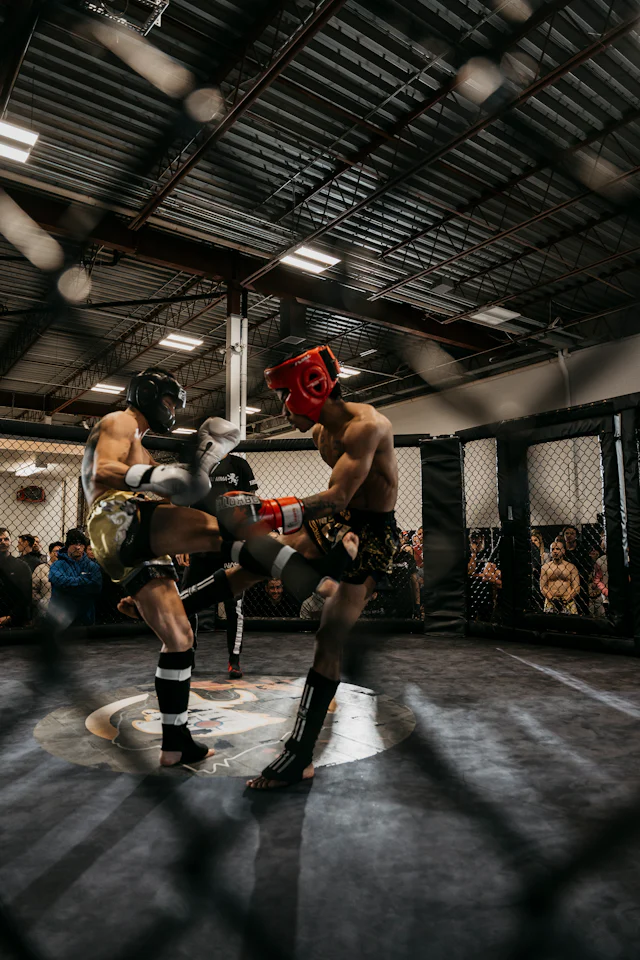 MMA / UFC