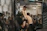 Close-up shot of MMA Ref Pro signaling a round end with intense focus in a packed arena.