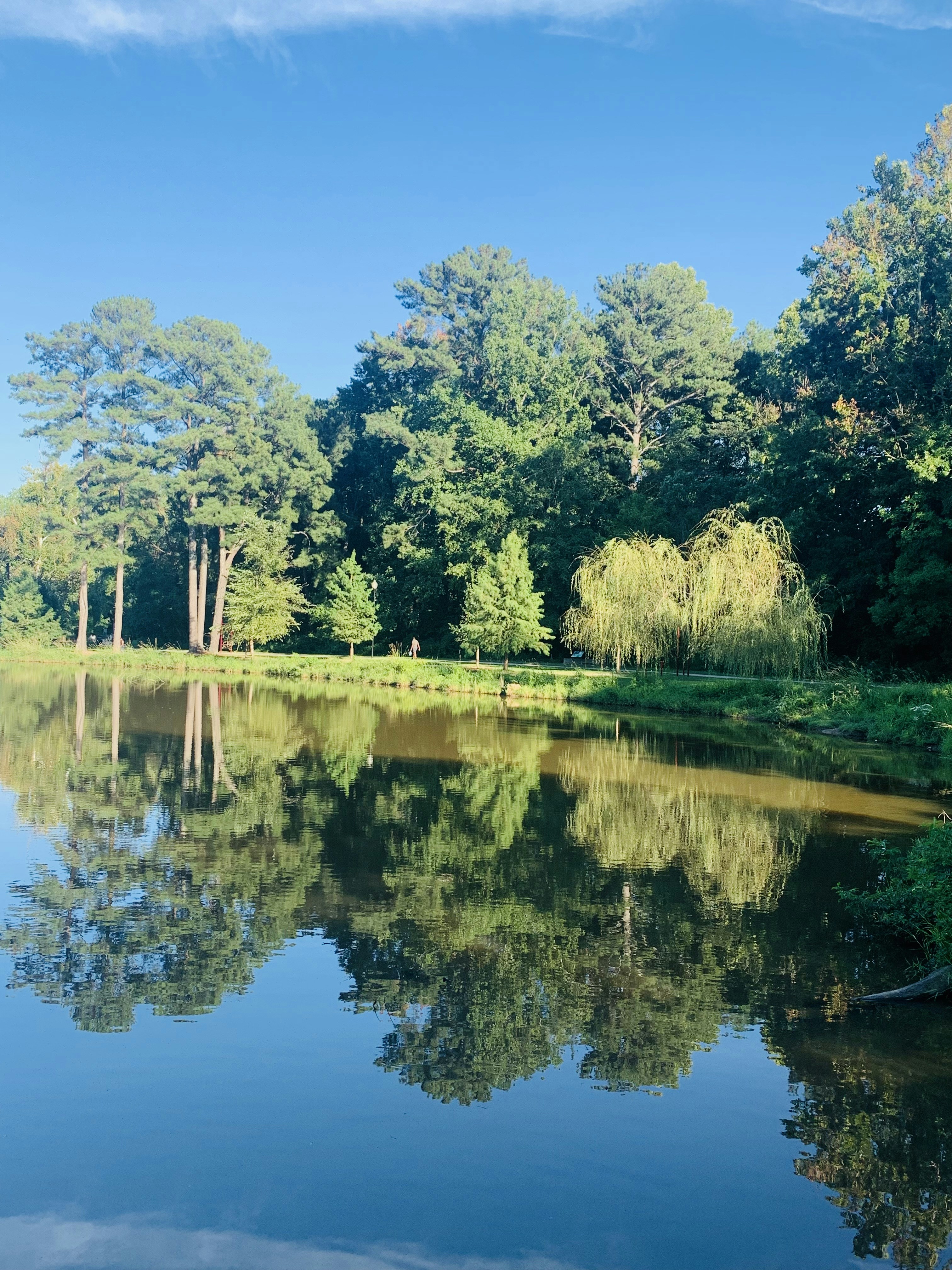 Photo by tropical_island