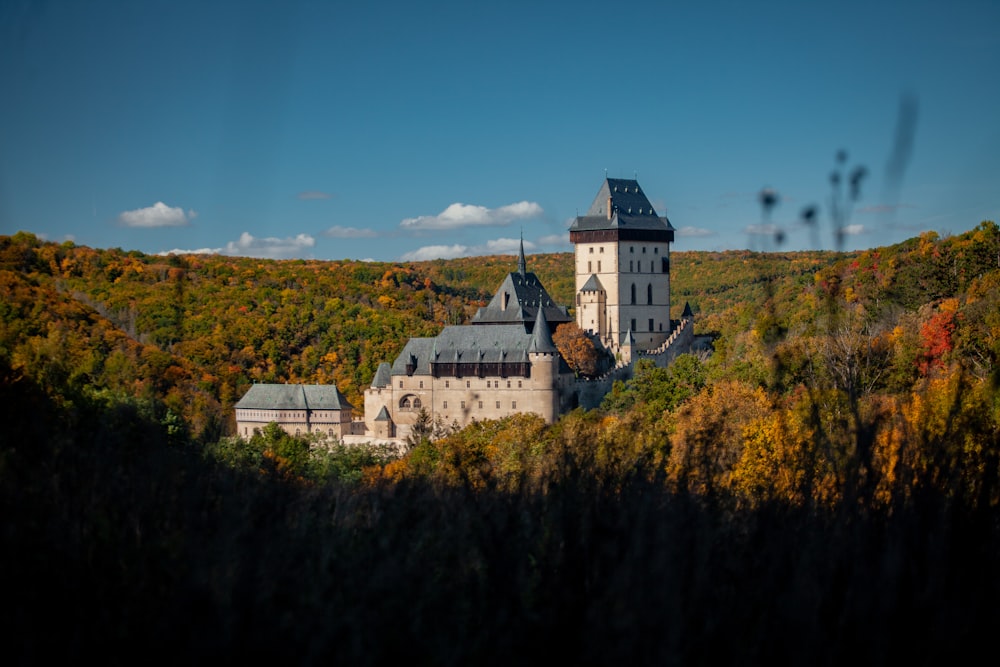 a castle in the middle of a forest