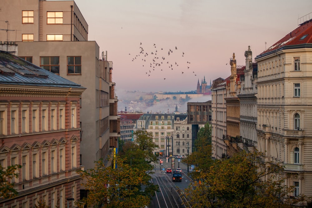 a view of a city from a high viewpoint