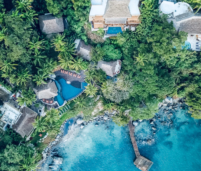 Aerial view of homes among trees near the coast