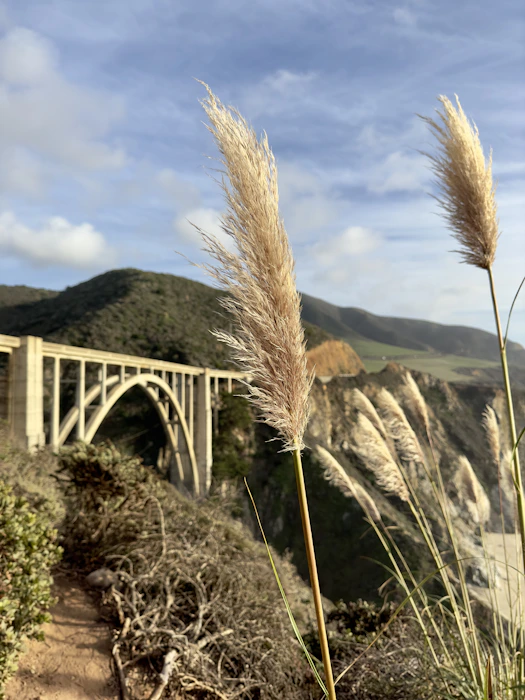 a view of a bridge over a body of water