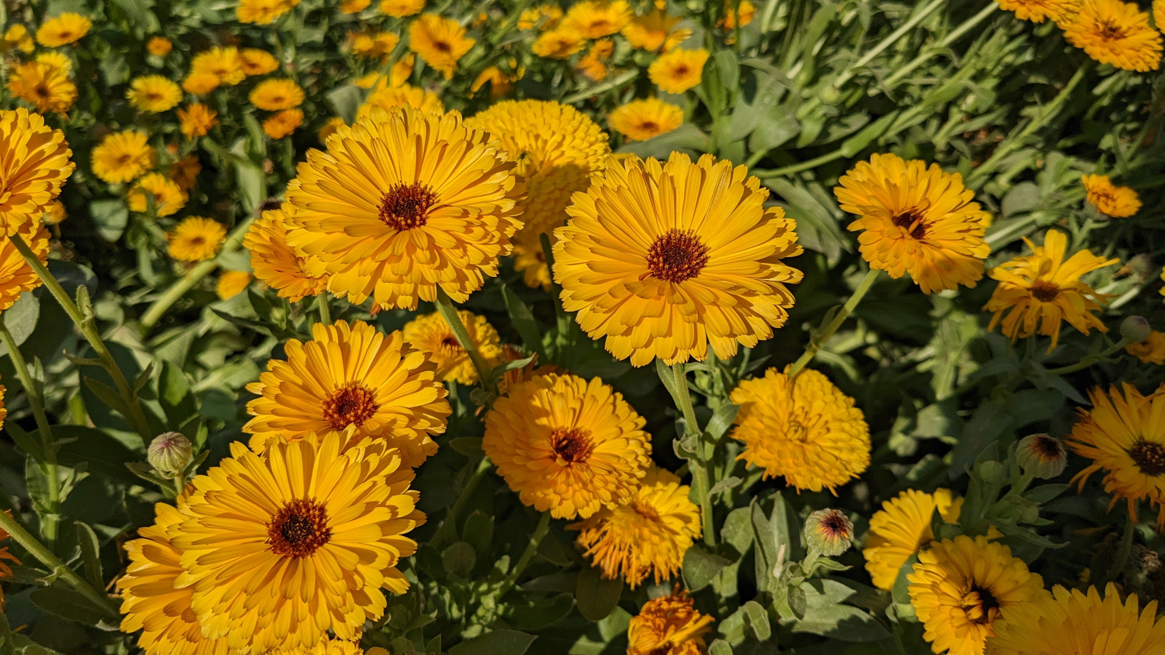 Photo by generateyourjyoti_5