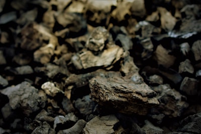 Close-up of rich biochar granules with mountain landscape in the background.