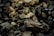 A close-up view of a pile of dark, rough charcoal pieces with irregular shapes and textures, creating a rugged landscape. The light plays across the surfaces, highlighting the varied contours and surface details.