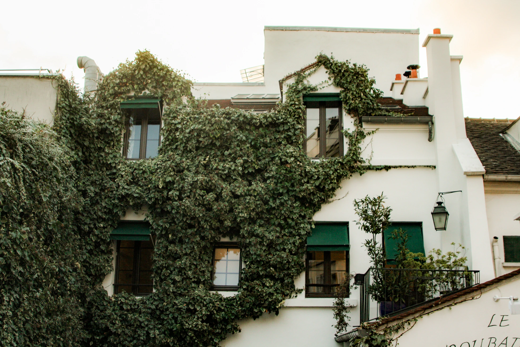 Photo · Rosa Bella / Unsplash