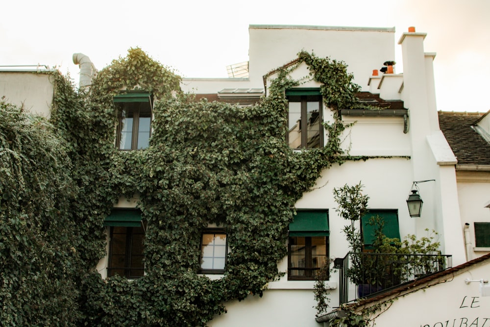 a building with ivy growing on the side of it