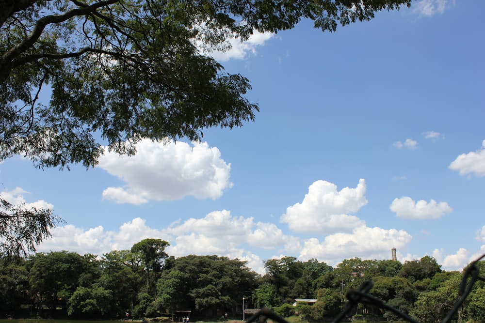 a view of a grassy field with trees and a tower in the distance