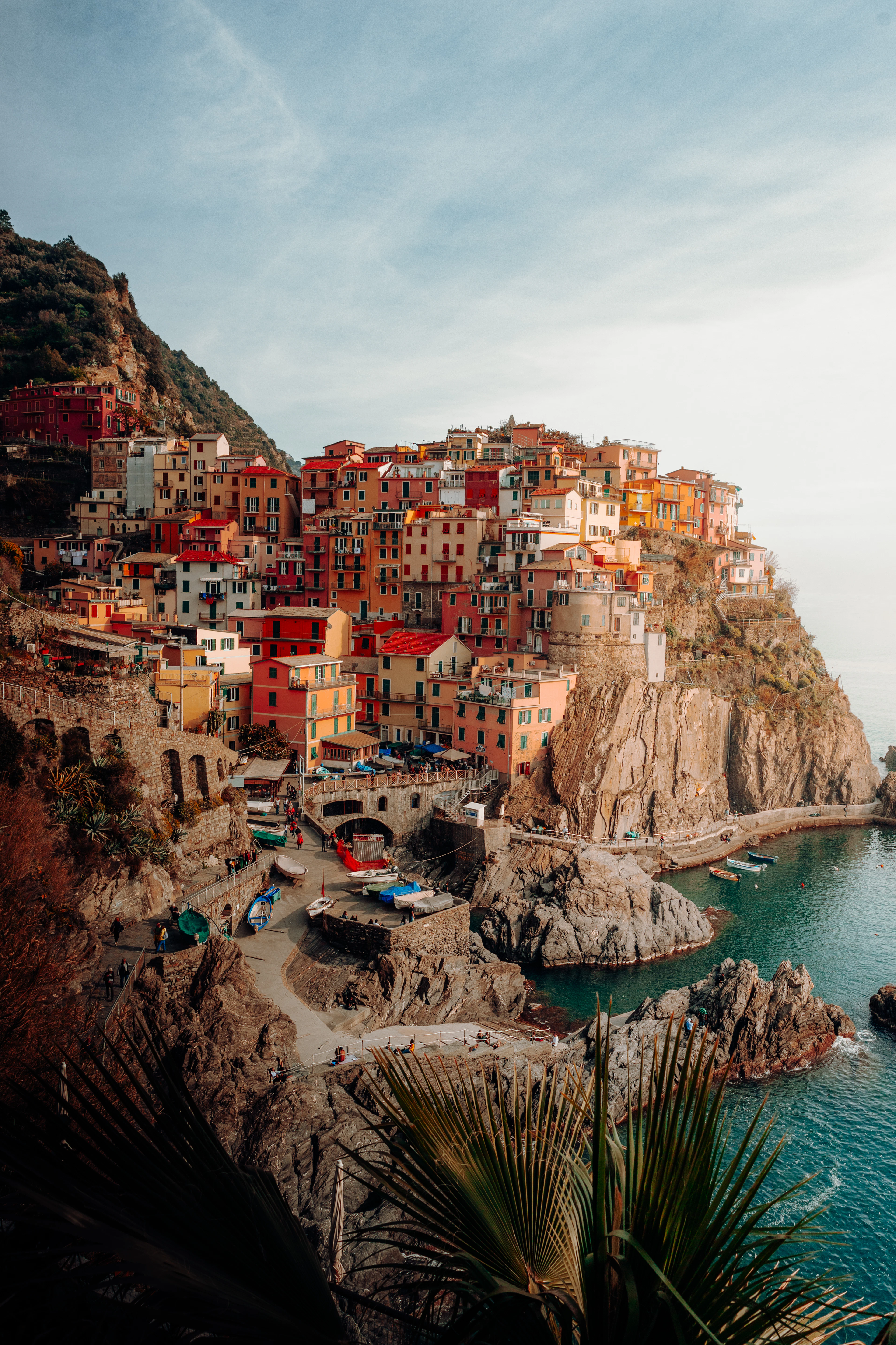 Manarola's stacked ochre and coral houses tumbling down the cliff to its small harbour, framed by a palm frond on the coastal path.