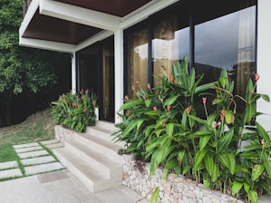 A contemporary house exterior features large glass windows with sheer curtains, providing a view of the interior. The entrance area includes a stone staircase leading up to the door. Lush green tropical plants with vibrant red flowers line the building, contrasting with the beige stone tiles. A well-manicured lawn and a dense tree are visible on the left side.