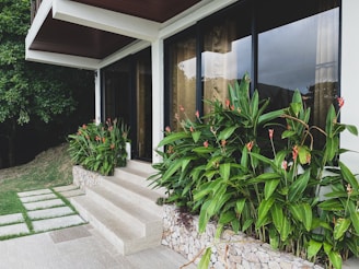 A contemporary house exterior features large glass windows with sheer curtains, providing a view of the interior. The entrance area includes a stone staircase leading up to the door. Lush green tropical plants with vibrant red flowers line the building, contrasting with the beige stone tiles. A well-manicured lawn and a dense tree are visible on the left side.