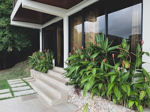 A contemporary house exterior features large glass windows with sheer curtains, providing a view of the interior. The entrance area includes a stone staircase leading up to the door. Lush green tropical plants with vibrant red flowers line the building, contrasting with the beige stone tiles. A well-manicured lawn and a dense tree are visible on the left side.