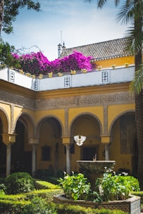 A sunlit courtyard framed by intricate Rajasthani arches and vibrant flowers.