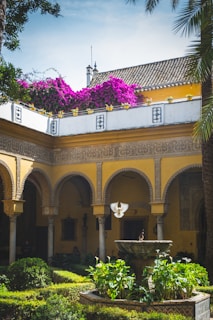 A sunlit courtyard featuring traditional Yucatán architecture with vibrant color accents and lush greenery.