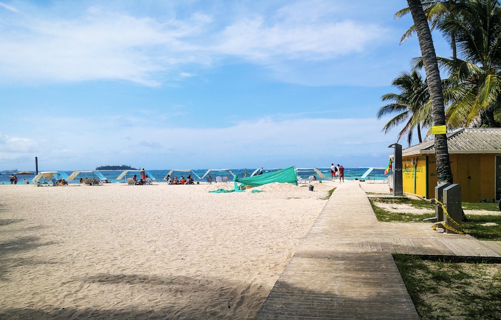 a group of people standing on top of a sandy beach