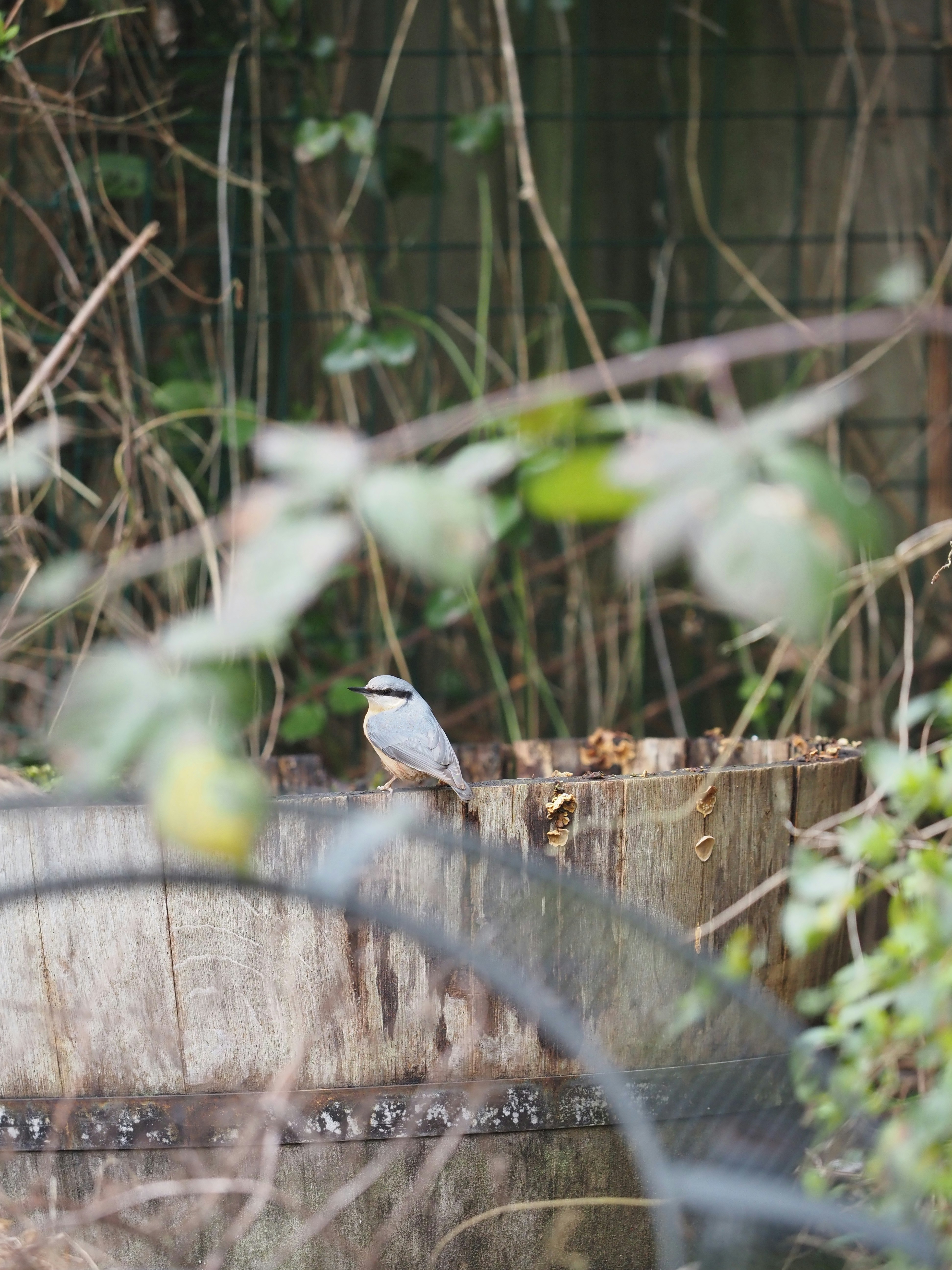 Photo by siemon_hmbrx