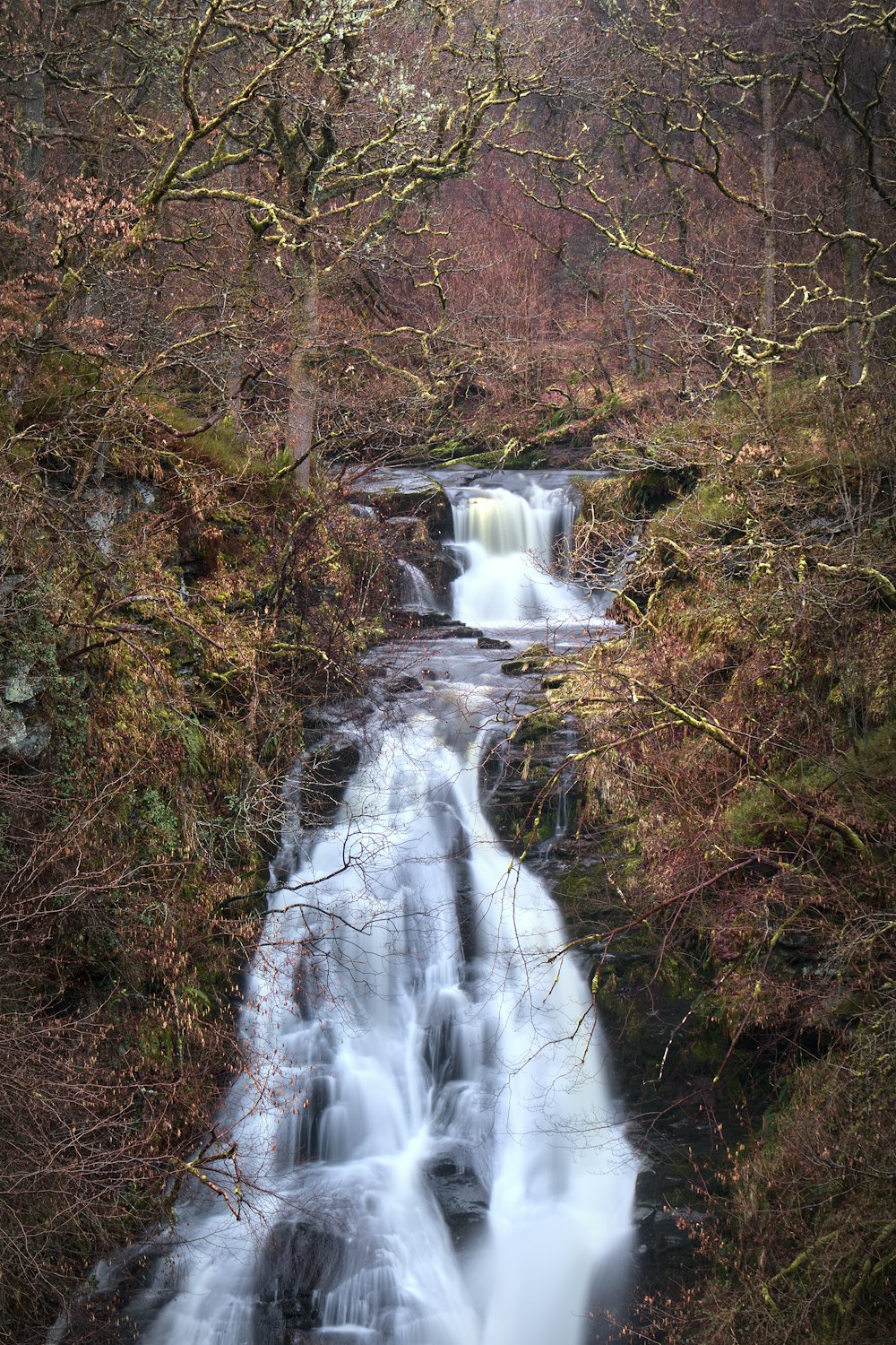 a small waterfall in the middle of a forest