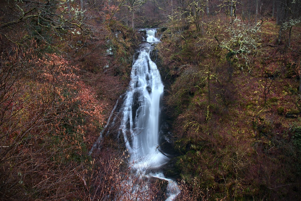 a very tall waterfall in the middle of a forest