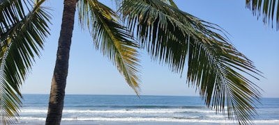 A beautiful beach view perfect for relaxation.