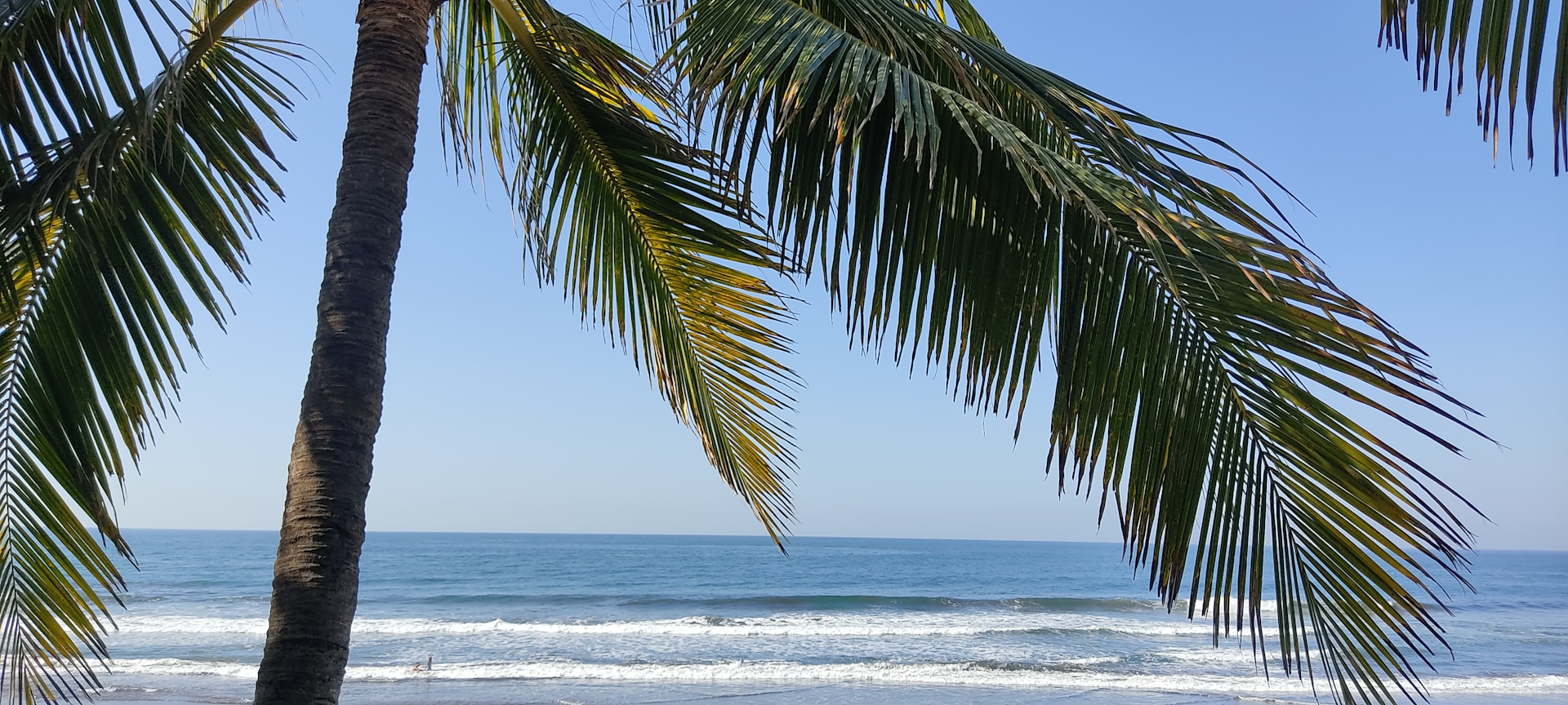 gray computer monitor