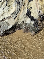 A rocky shoreline with clusters of dark mussels clinging to the surface. The rocks are partially submerged, and clear, shallow water gently ripples over the sandy bottom, creating a shimmering effect.