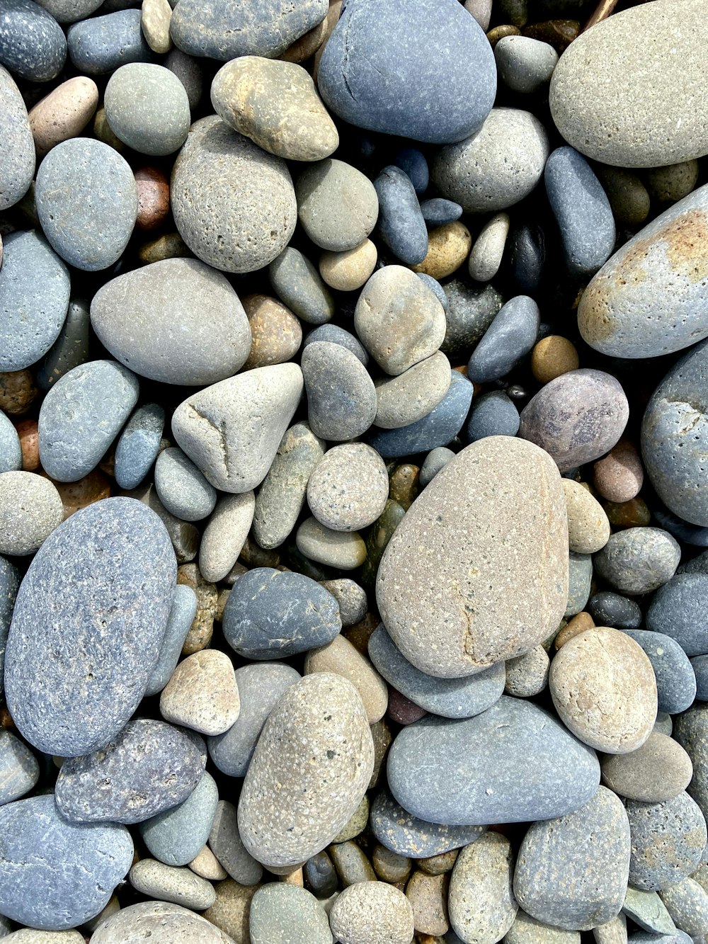 a bunch of rocks that are on the ground