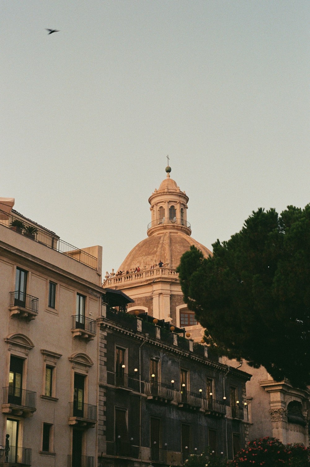 a bird flying over a building with a dome on top