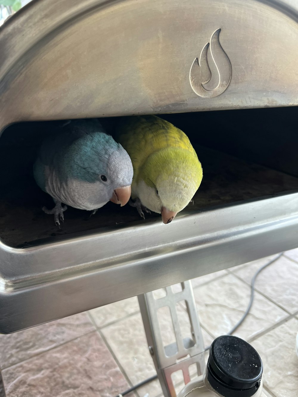 a couple of birds sitting on top of a metal grill