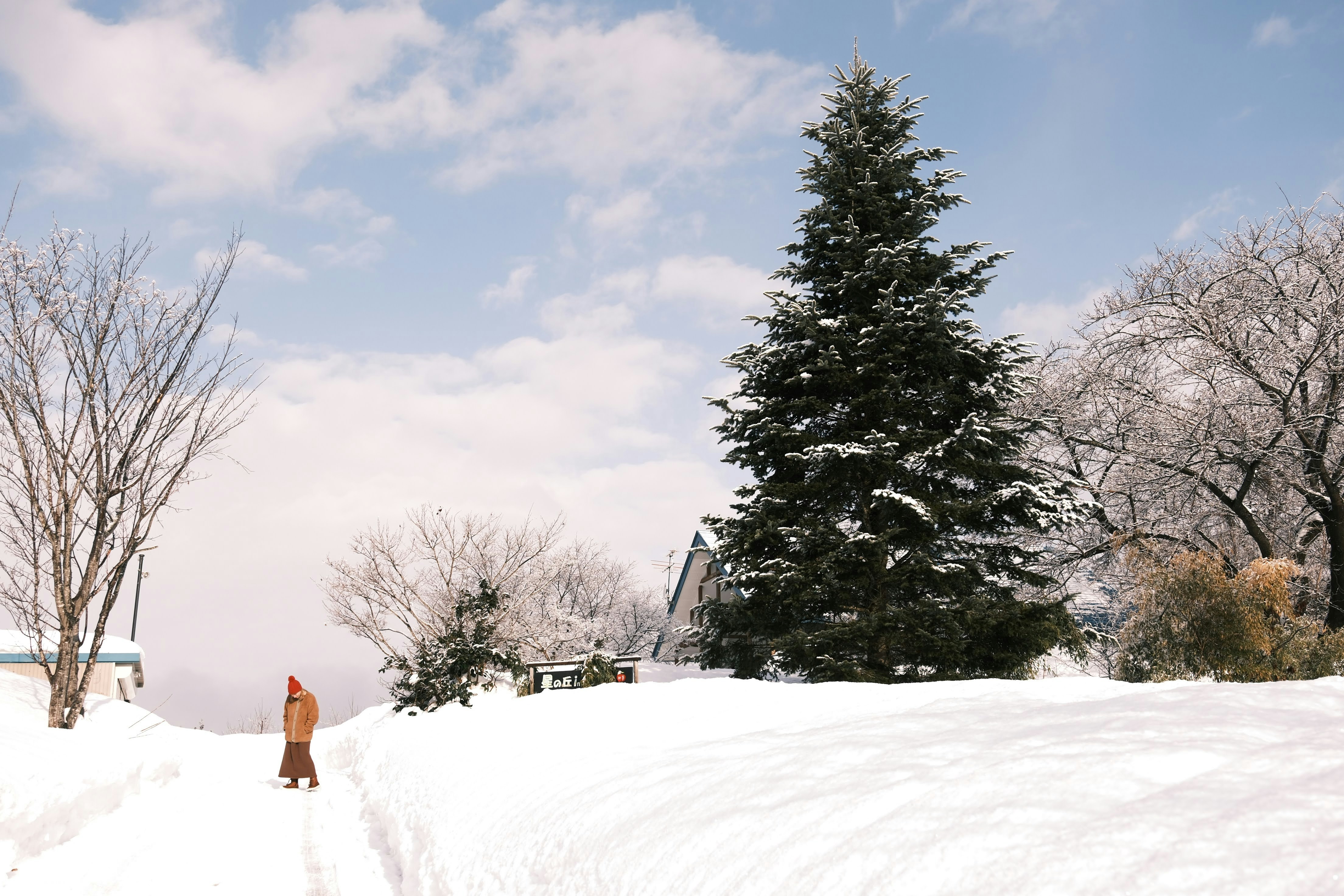 Photo by seiya_maeda