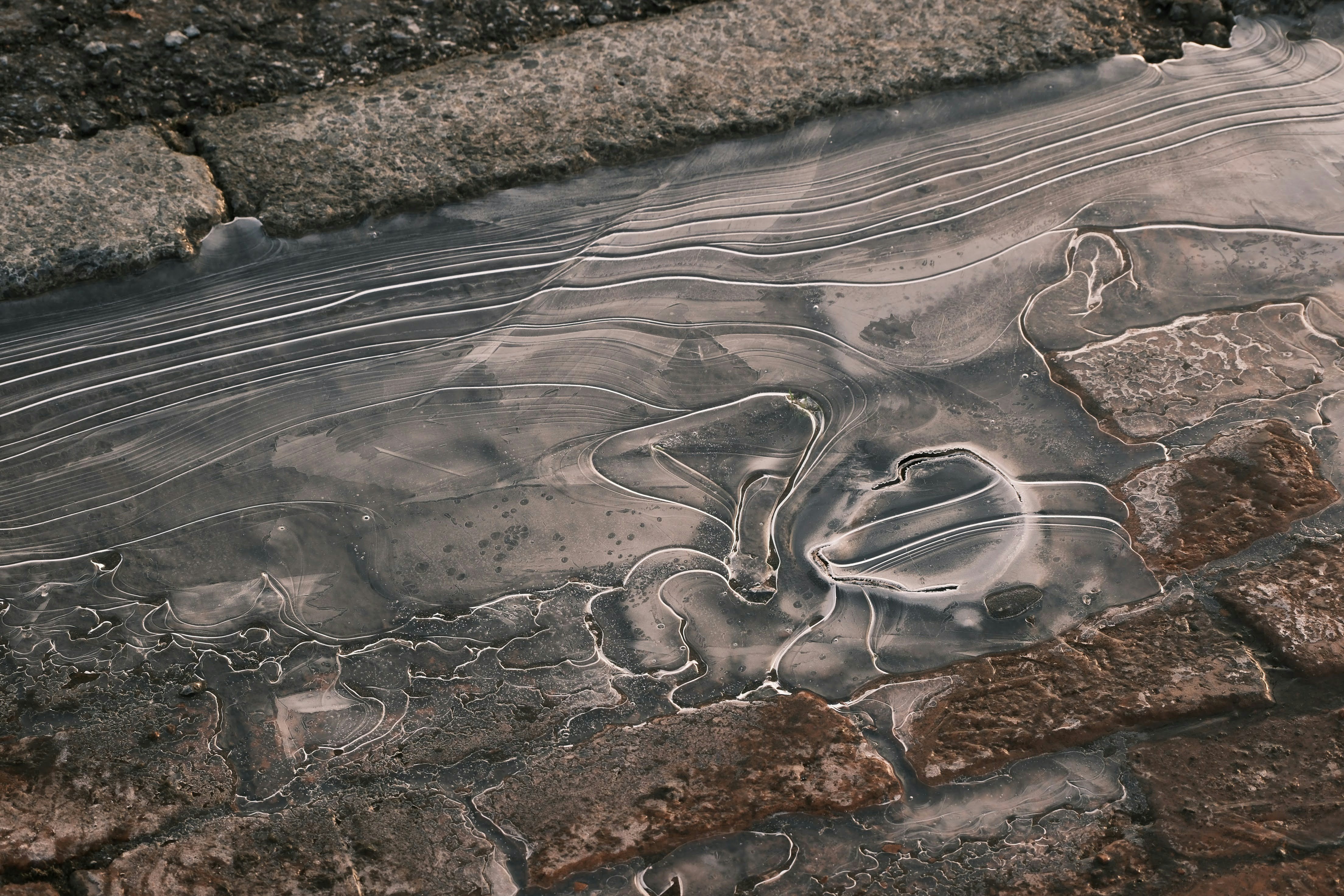 a puddle of water on a brick sidewalk