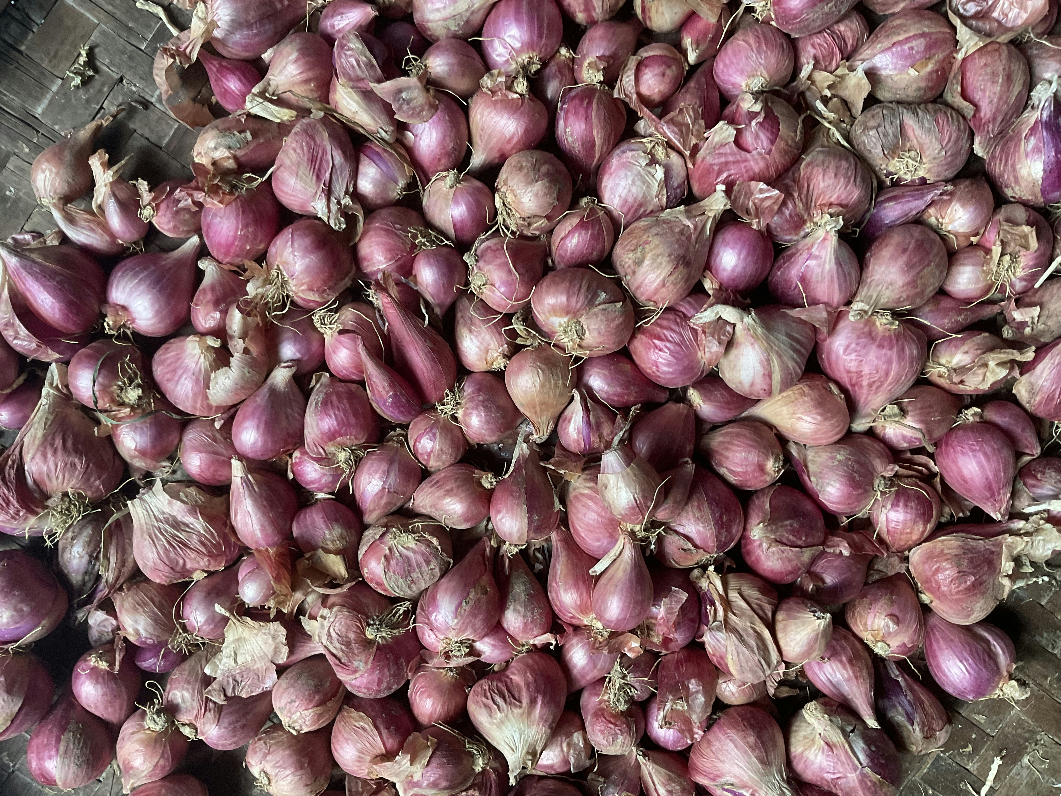 Pile of fresh white onions with dry papery skin on wooden surface