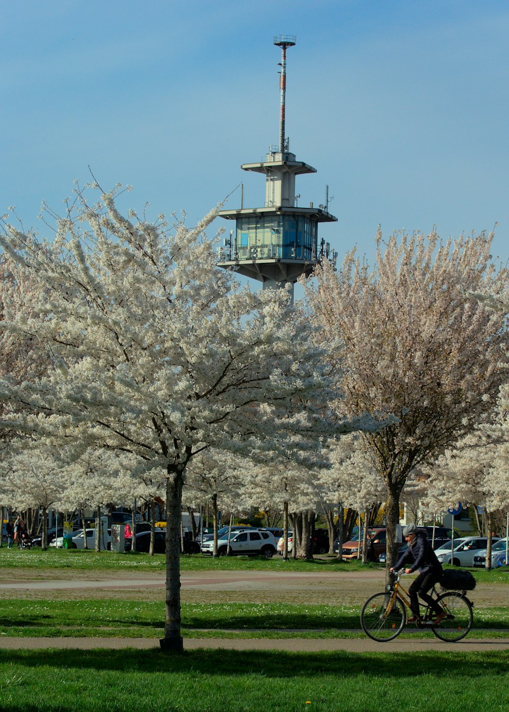 a person riding a bike in a park with a tower in the background
