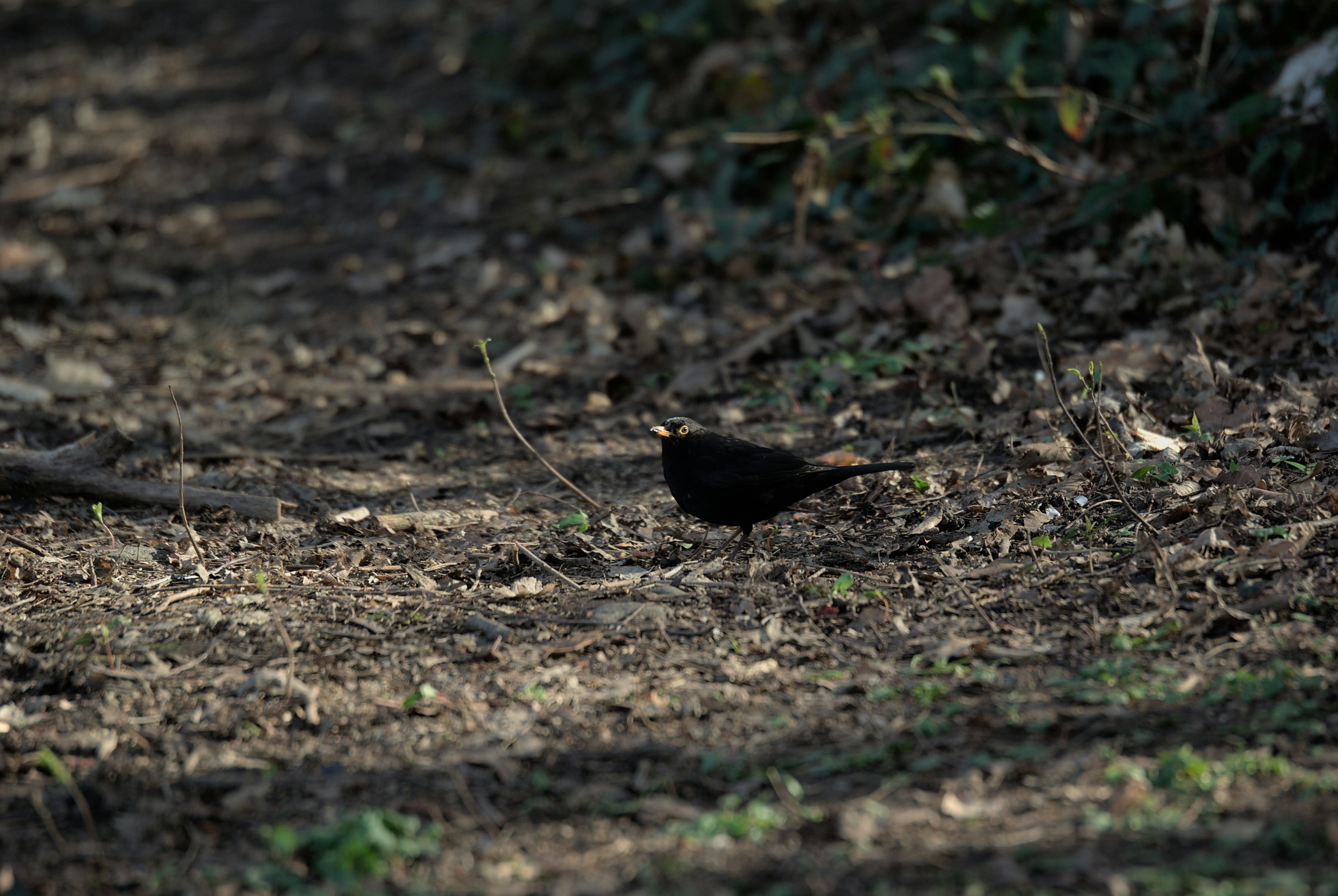 Photo by paulschnuerle