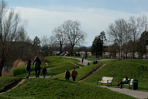 A park scene with multiple people walking along paved and unpaved paths. Several bare trees and a few evergreen trees are visible in the background. There are benches, with at least one person sitting on a bench. The grass is lush and green, and there is a clear sky with some scattered clouds.