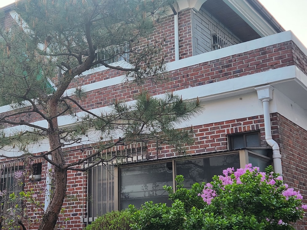 a tall brick building with a tree in front of it