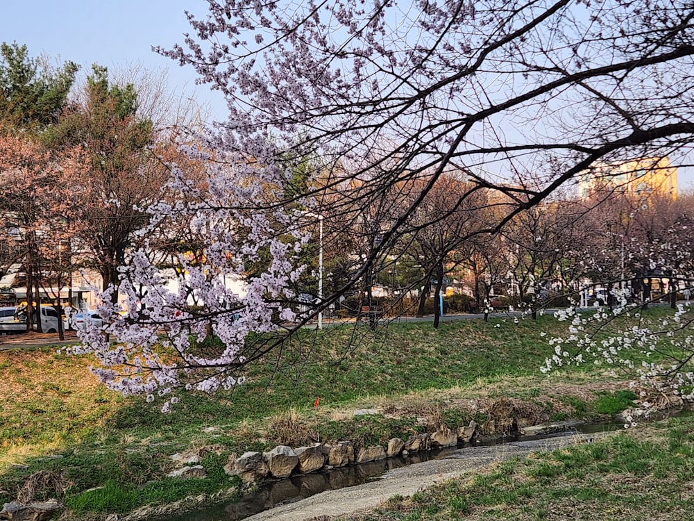 a park area with a bench, trees, and flowers
