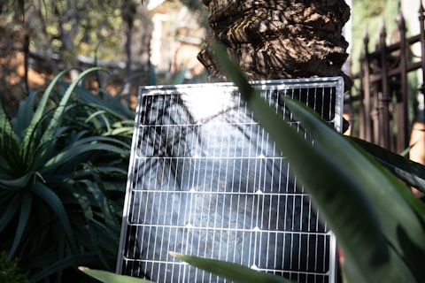 A solar panel is positioned among lush greenery, with large leaves and a tree trunk providing a natural backdrop. The sunlight casts soft shadows across the panel, highlighting its photovoltaic cells.