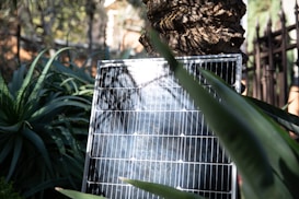 A solar panel is positioned among lush greenery, with large leaves and a tree trunk providing a natural backdrop. The sunlight casts soft shadows across the panel, highlighting its photovoltaic cells.