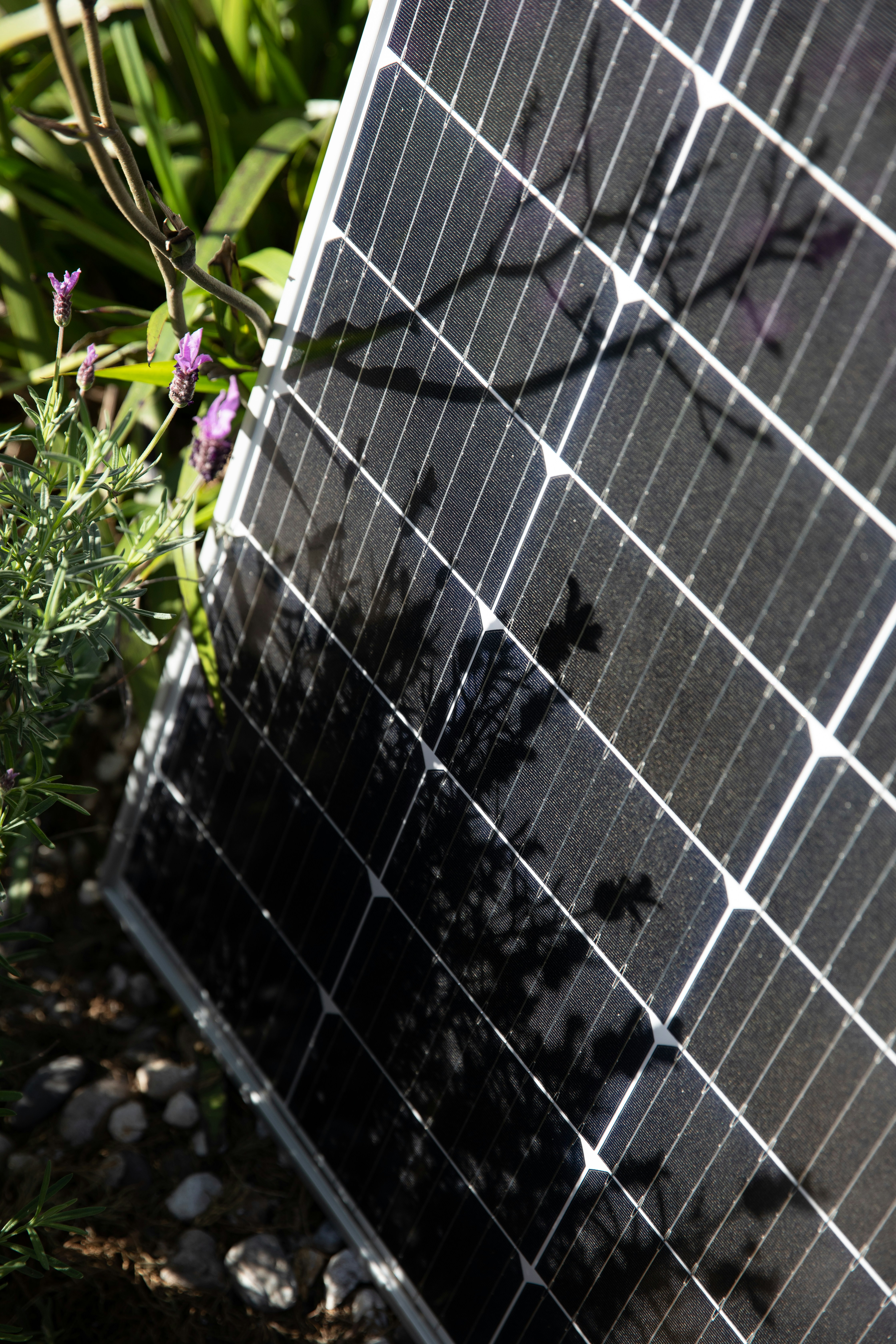 a close up of a solar panel in a garden