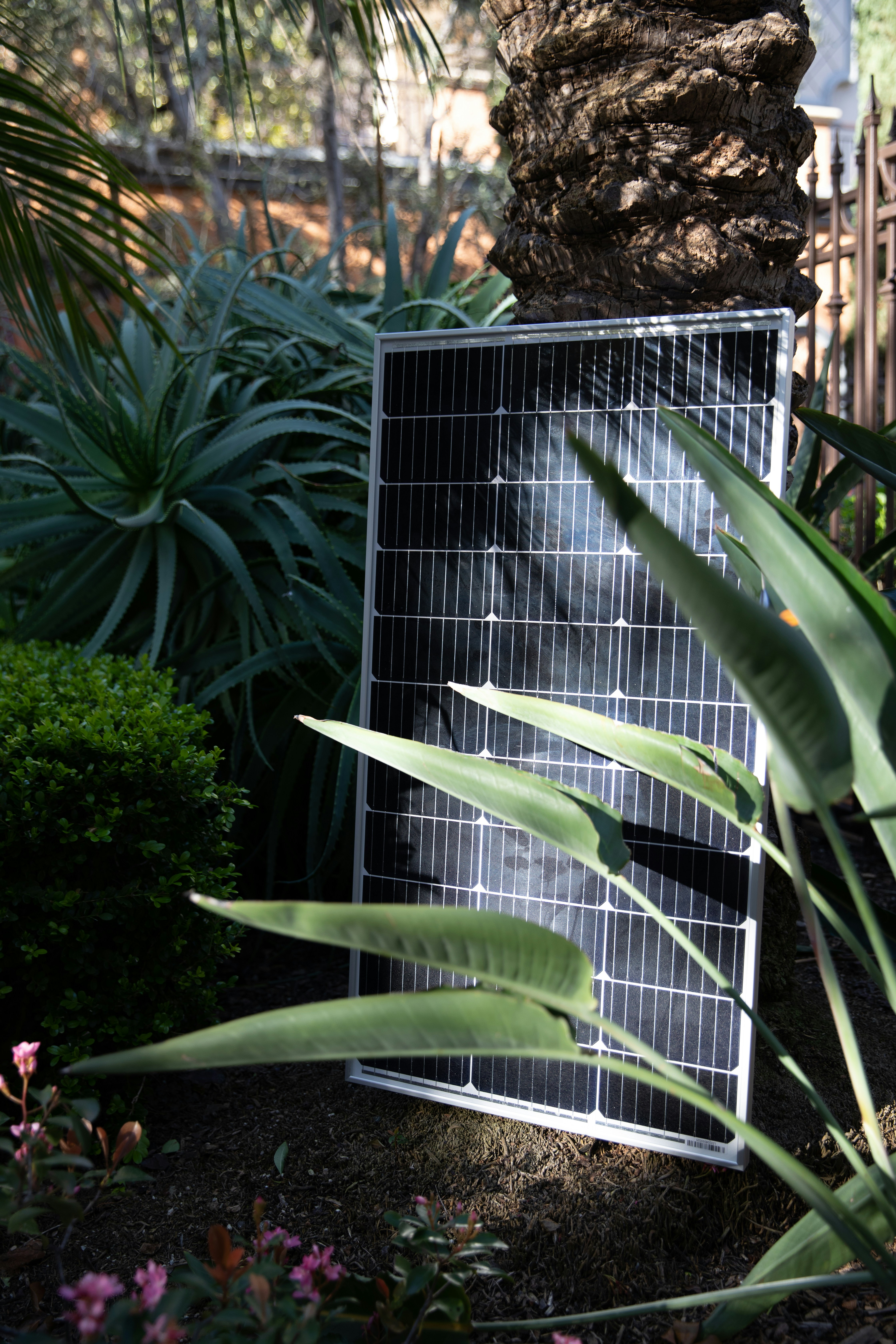 Solar panels positioned to capture sunlight on a clear day